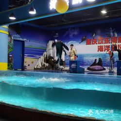 渝中区重庆天地,交通很方便,里面很大,算是重庆面积最大的海洋馆了