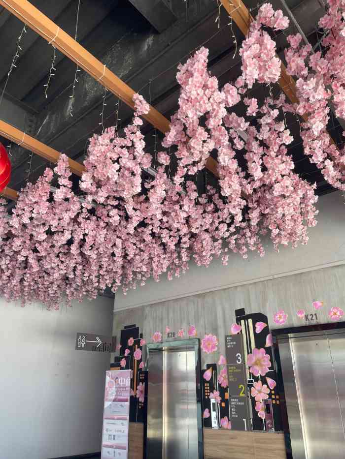 金逸影城(小榄樱花里imax店)-"第一次在新金逸看电影,就是在聚龙彩虹