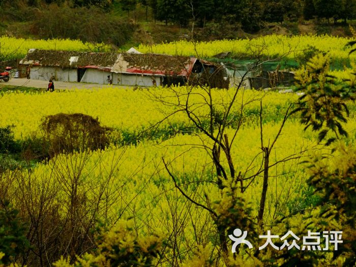 凤凰山公园-绿翘yue的相册-成都景点