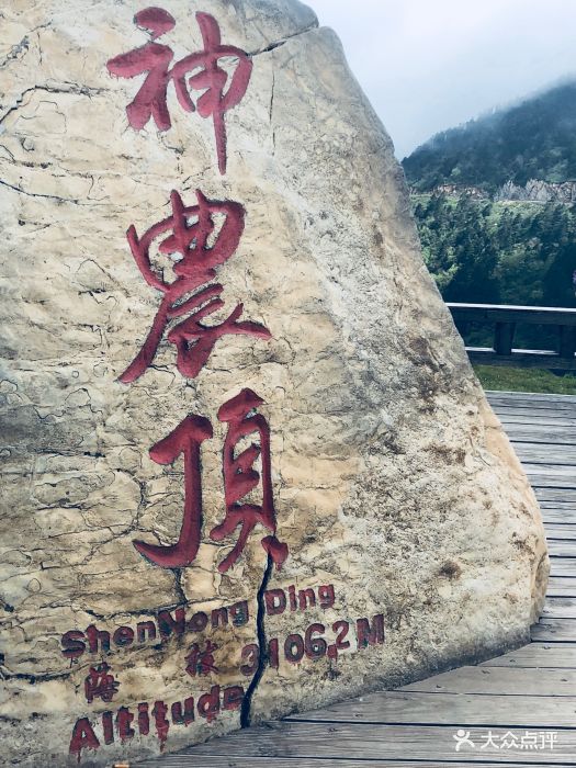 神农顶景区景点图片 第26张