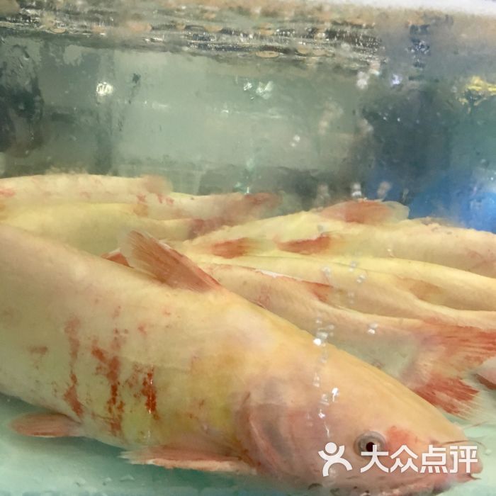 鱼小筑河鲜自助(卓锦曼购中心店)红沙图片 第10张