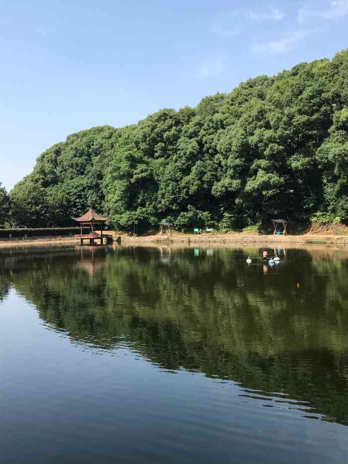 山鹰潭度假村-"长沙大学北门的对面,有一个风景宜人的