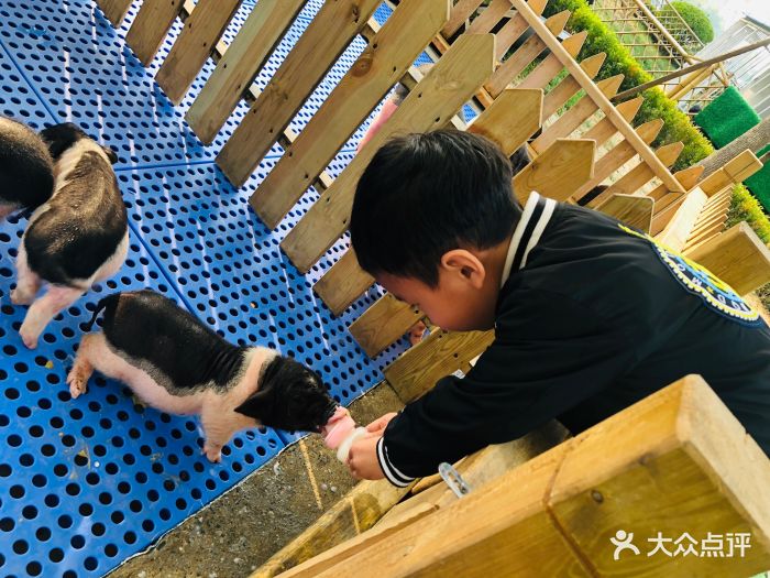 万达广场亲子动物乐园(槐房万达店)图片