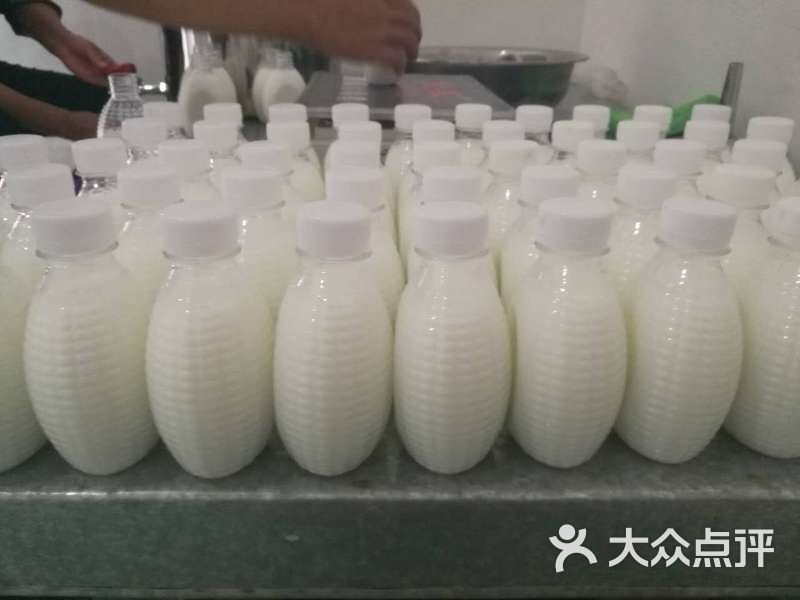新鲜驴奶图片 - 第2张