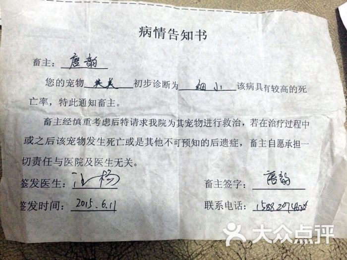 宠印动物医院的全部评价-成都-大众点评网
