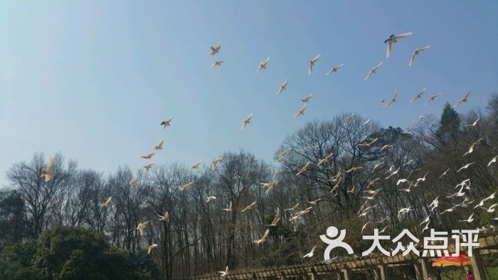 南京音乐台-图片-南京景点