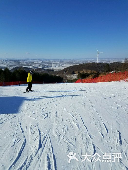 奥悦碾子山国际滑雪场-图片-齐齐哈尔周边游-大众点评网