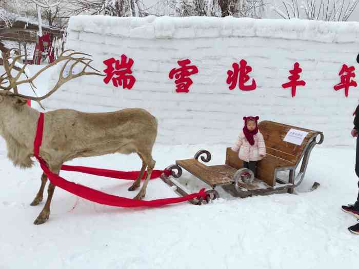 北京鹿世界冰雪嘉年华