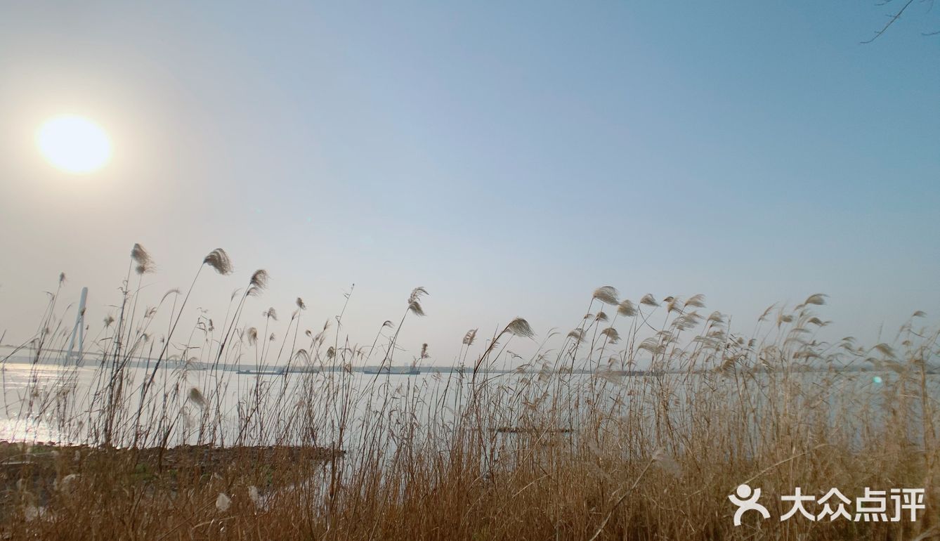 走在阳光下,走在浅笑的风景里