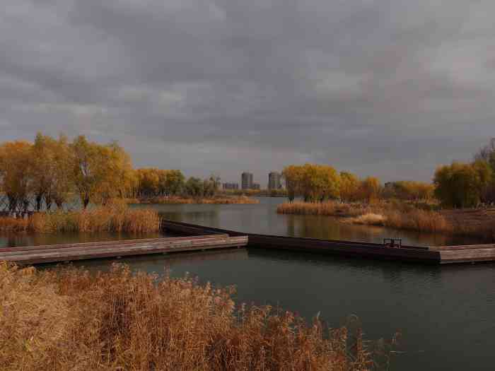 鹤鸣湖公园-"鹤鸣湖公园,位于白城市城南生态新区的.