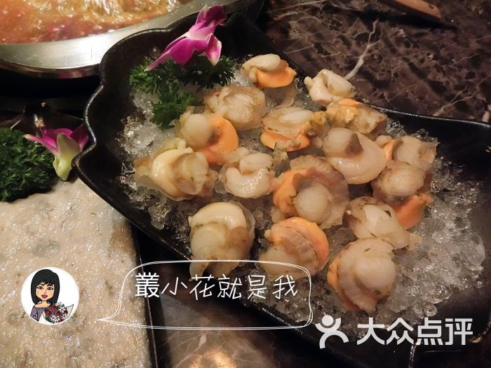 鸳鸯贝