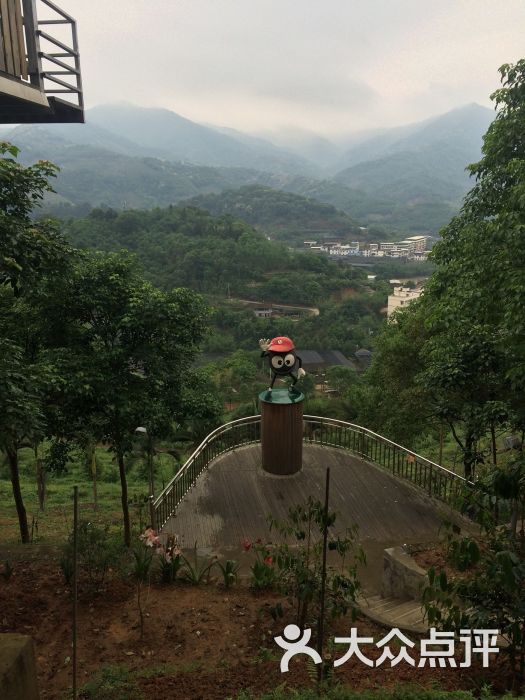 南坑咖啡观赏园-图片-漳州美食-大众点评网