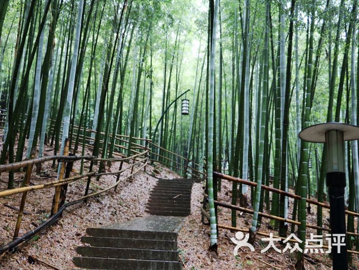 齐山植物公园图片 第25张