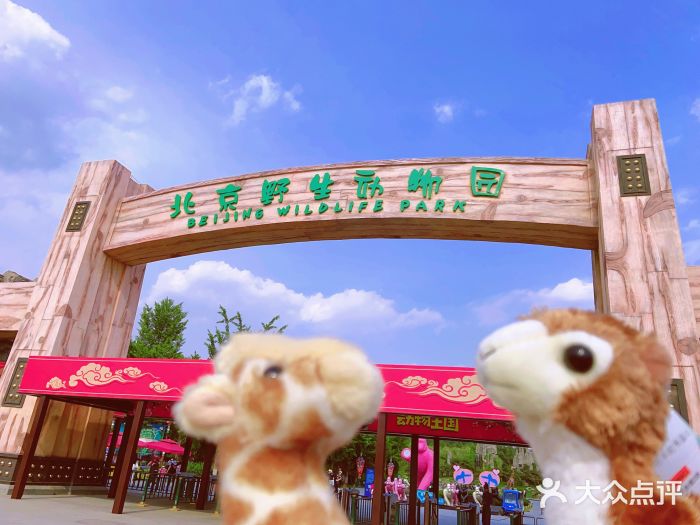 北京野生动物园大门图片