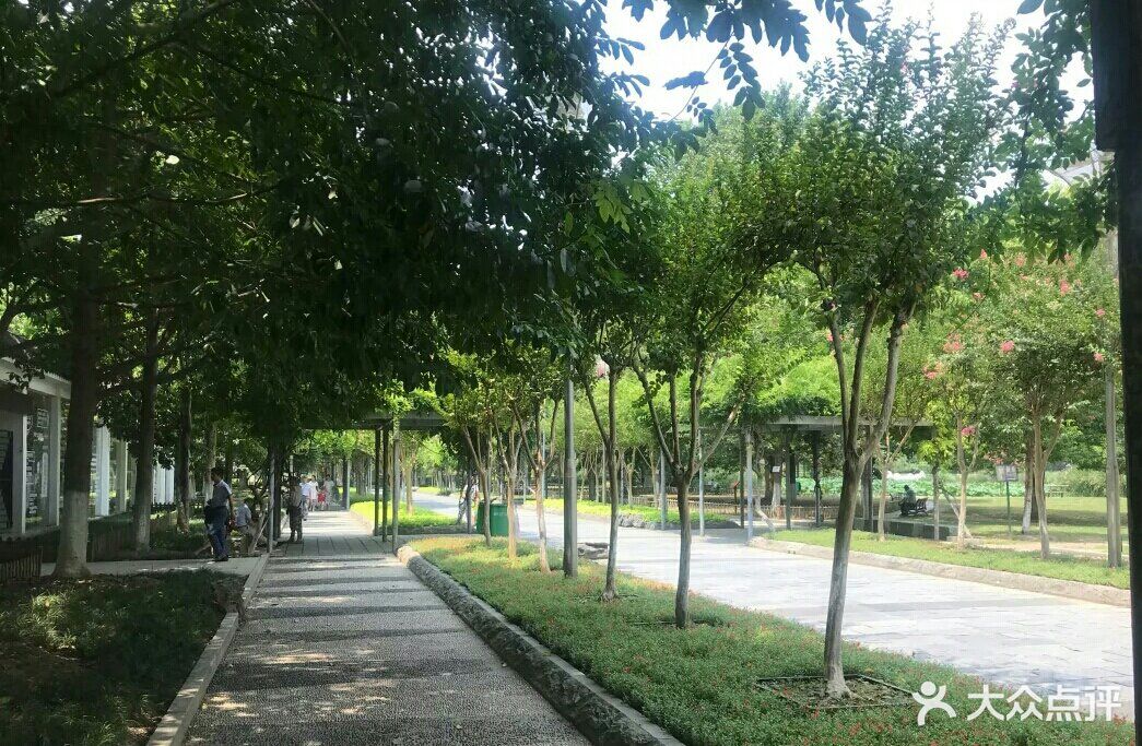 从东湖坐地铁跨越到解放公园现在已经清园了