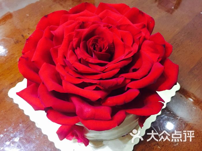 56°cake花盆蛋糕(合生汇店)红玫瑰生日蛋糕图片 - 第1张