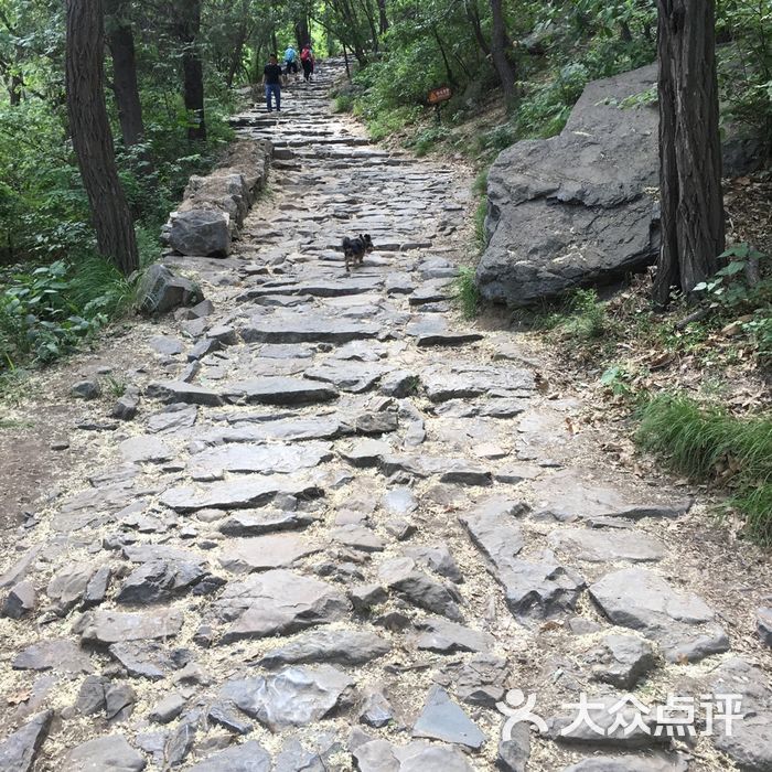 阳台山自然风景区图片-北京自然风光-大众点评网