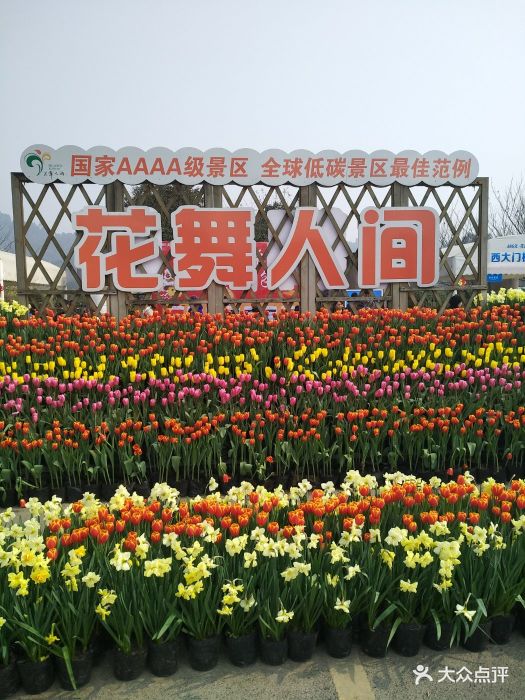 花舞人间图片 - 第707张