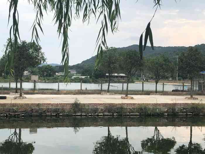 龙溪湖现代农业·友约户外无烟烧烤-"本想去摘葡萄99的,被告知已经