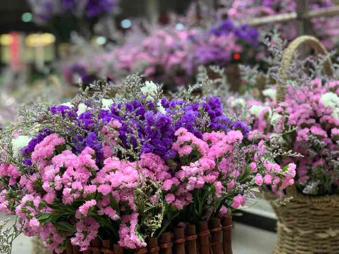 斗南花市-"一直对云南的花卉市场特别好奇[坏笑]众所.