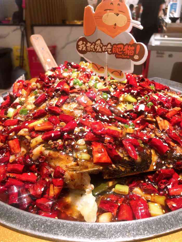 南锣肥猫·麻辣烤鱼(龙德广场辣街店)-"「湄江鱼」「.