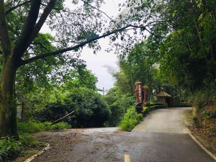 玉峰山生态园-"玉峰山森林公园风景还是很美的!可以用