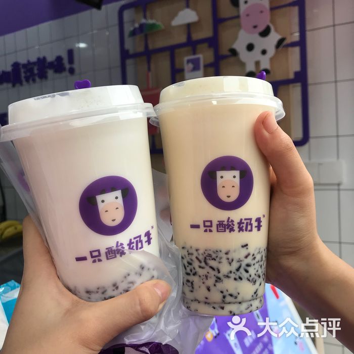 一只酸奶牛