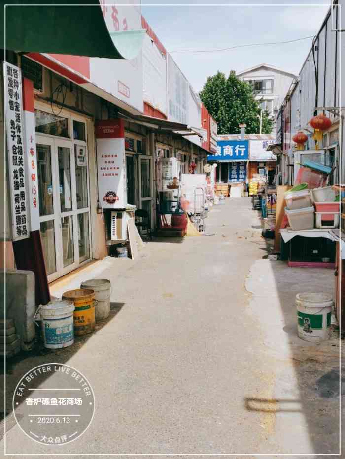 香炉礁鱼花商场-"《香炉礁花鸟鱼市》这是一个很美妙.