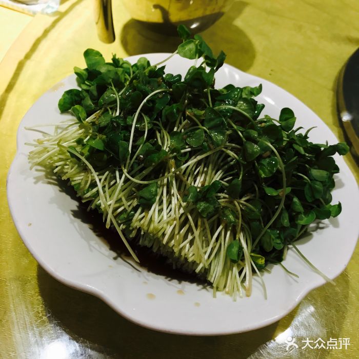 老房子酒家-有机荞麦菜图片-上海美食-大众点评网