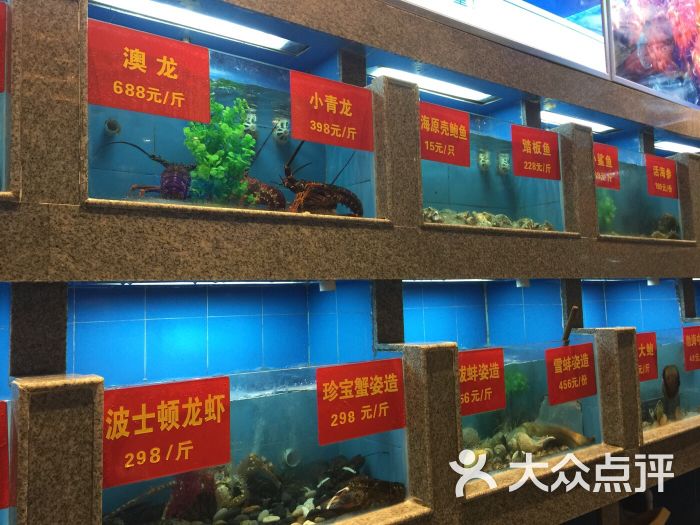 蒋记海鲜姿造_帝王蟹姿造_蒋记海鲜姿造酒楼