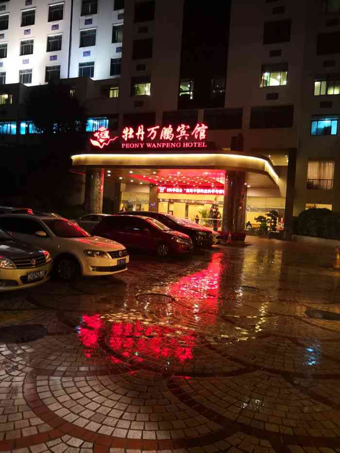 牡丹万鹏宾馆·宴会厅-"中午请朋友吃饭,小妹推荐的大