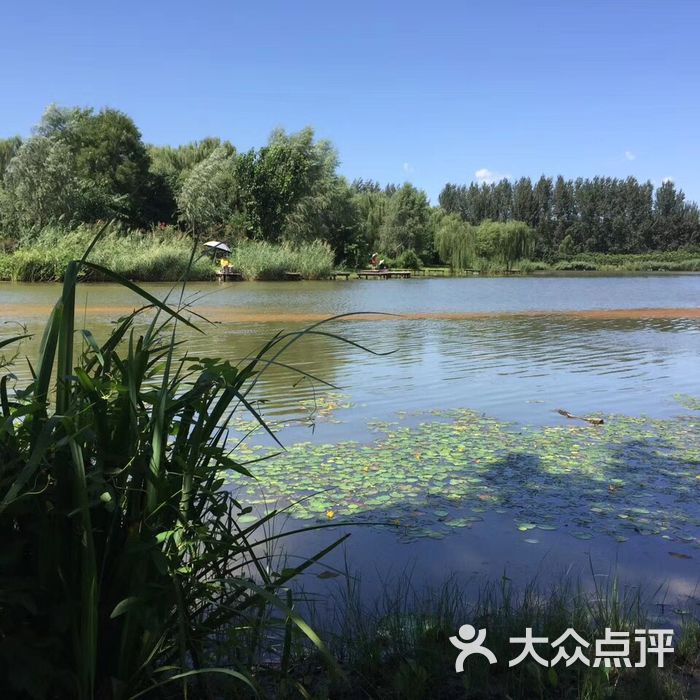 汉石桥湿地公园