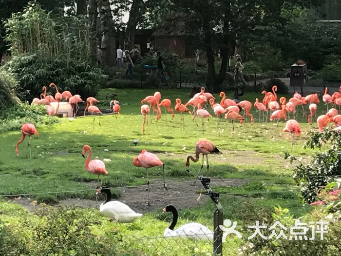 动物园图片 大众点评