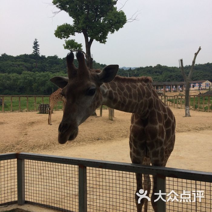 杭州野生动物世界