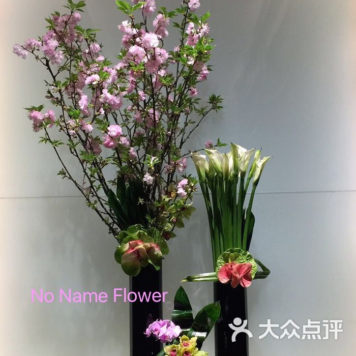 菁致lady           nonameflower           noname