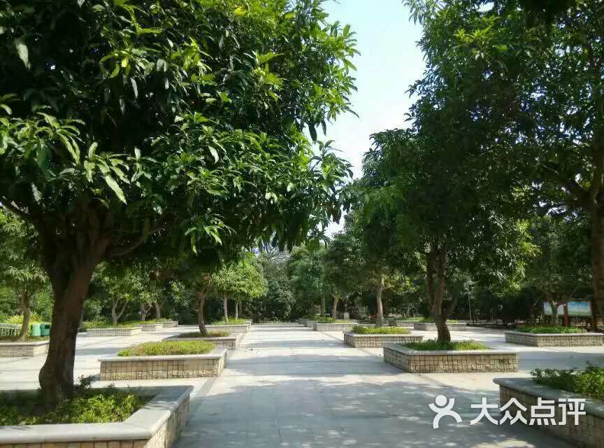上涌果树公园地方广阔图片 - 第6张