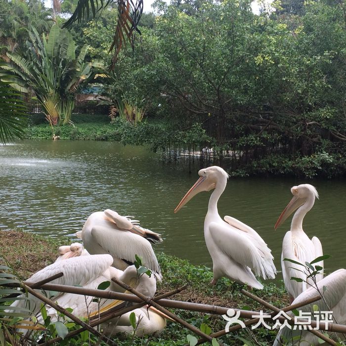 深圳野生动物园