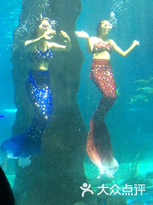 圣蓝海洋公园-图片-昌黎县周边游-大众点评网