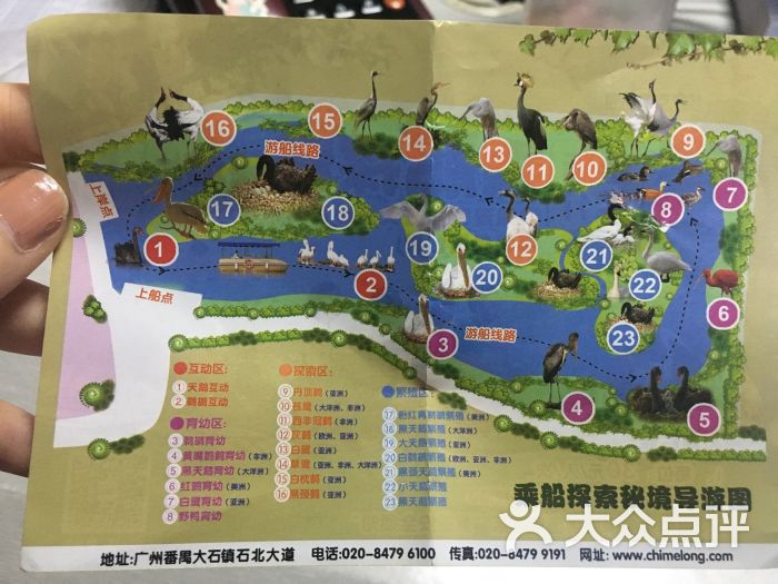 广州长隆飞鸟乐园图片 - 第29张