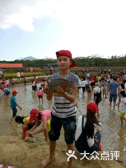 亲子游套餐活动—浑水摸鱼