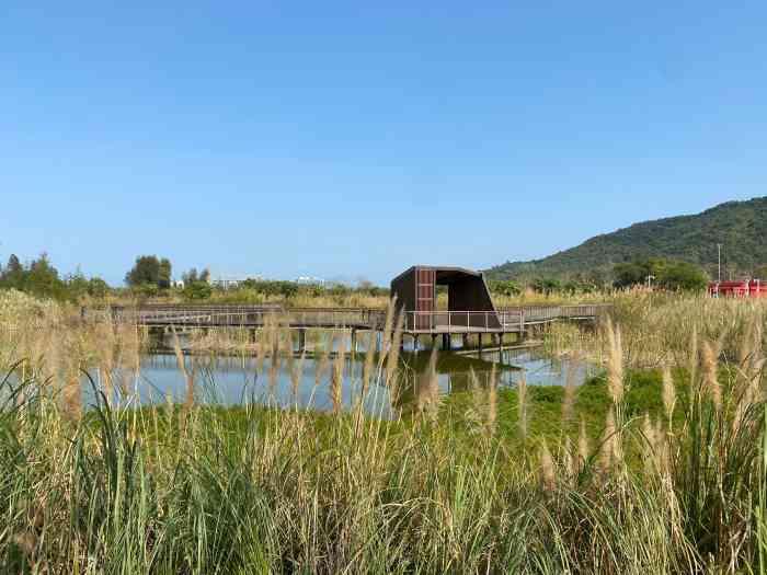 坝光银叶湿地公园