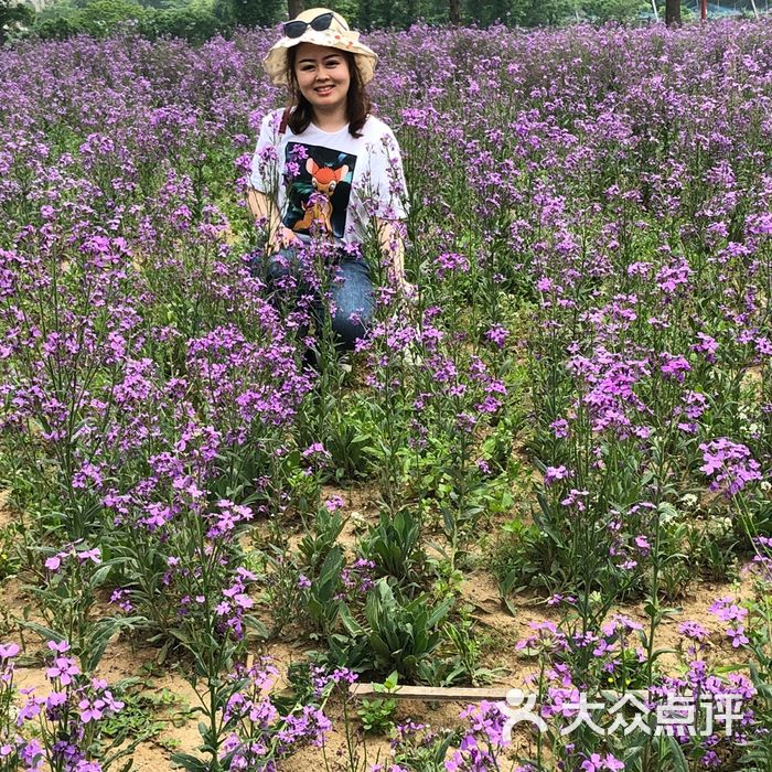 朝阳花谷景区