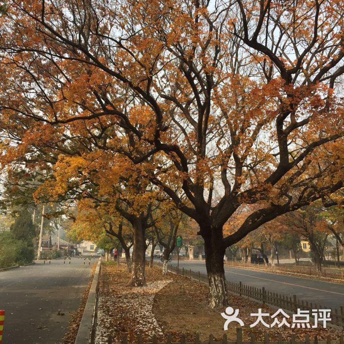 太阳沟景区-图片-大连周边游-大众点评网