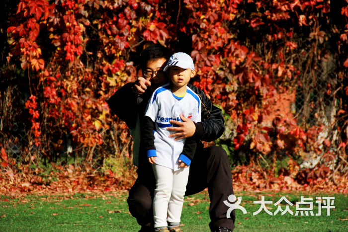 梦想英雄棒球-图片-北京教育培训-大众点评网