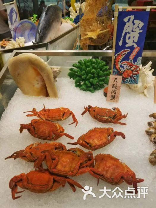 四海一家国际美食之都(国际广场店)爱尔兰天鹅绒蟹图片 第7张