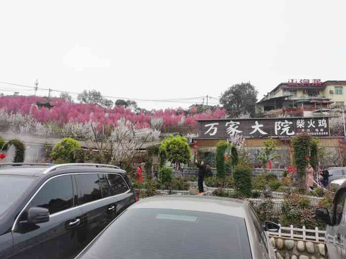 万家大院·柴火鸡·中餐·烧烤·采摘(龙泉山店"儿童节的时候约了几