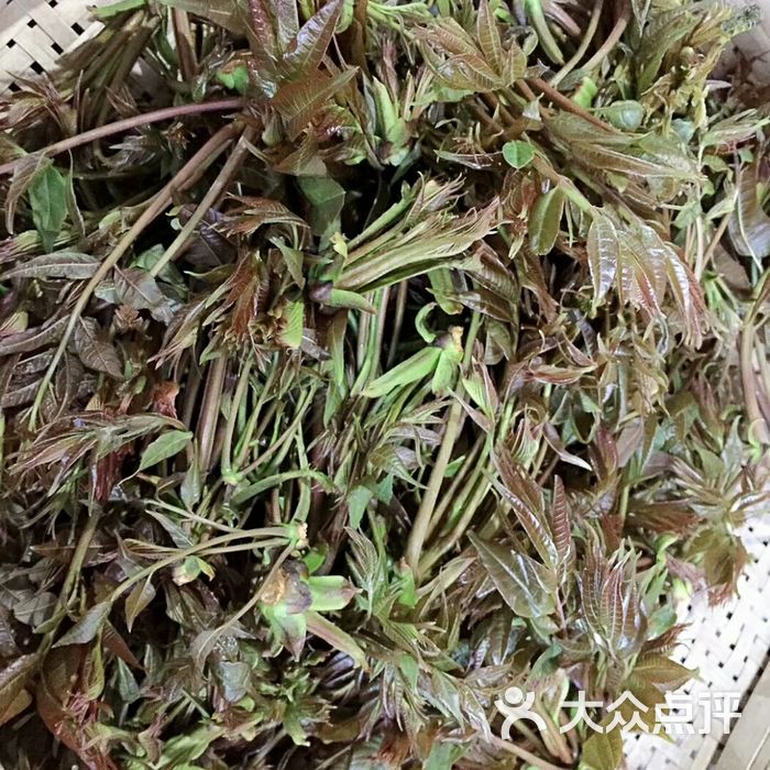 老凯俚酸汤鱼