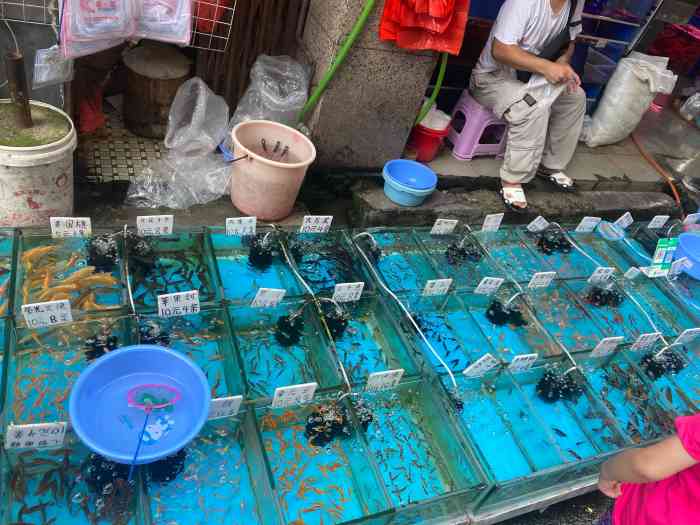 清平路水族市场"清平路水族市场是一条不错的,很有特色的街.