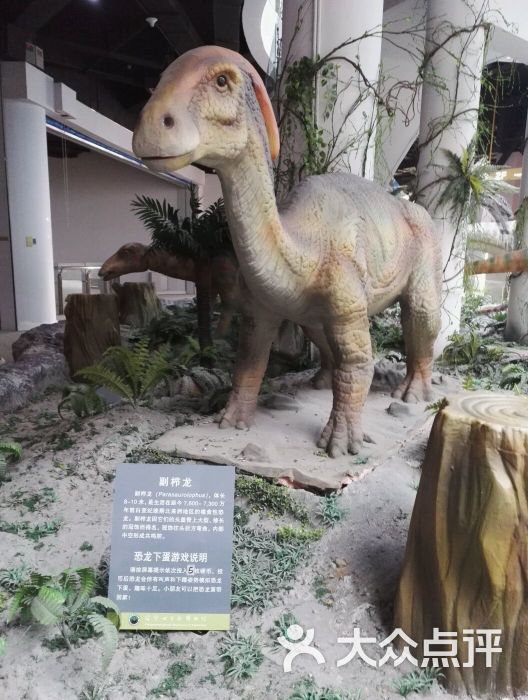 古生物博物馆-图片-沈阳周边游-大众点评网