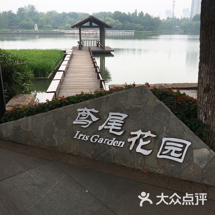 圩墩公园